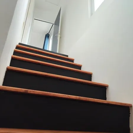 Papillon Dieppois By Holidieppe